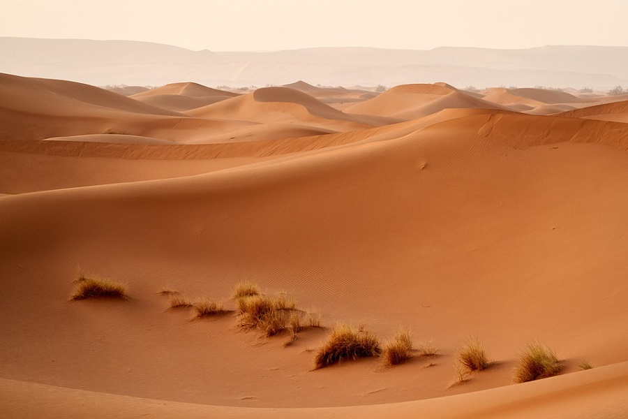Travel from Agadir to desert 8 days