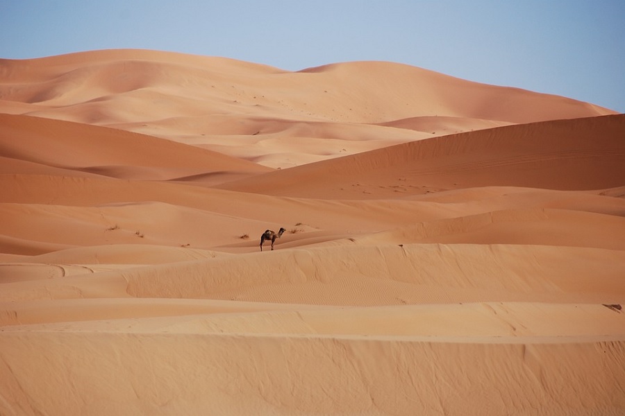 Casablanca tour through the desert 9 days